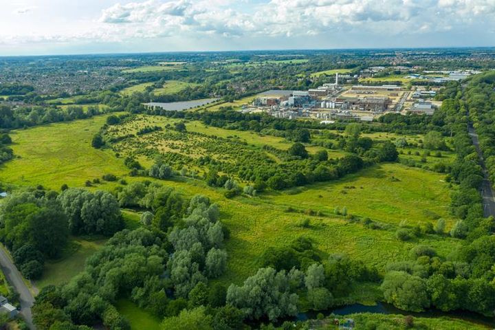 Inside Norwich's newest nature reserve 🌿